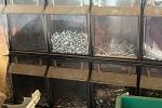 Sale Photo Thumbnail #28