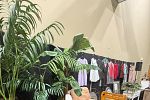 Sale Photo Thumbnail #14
