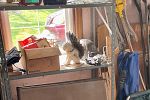 Sale Photo Thumbnail #31