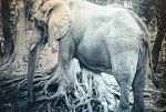 Sale Photo Thumbnail #23