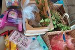 Sale Photo Thumbnail #11