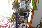 Sale Photo Thumbnail #28