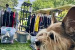 Sale Photo Thumbnail #1