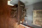 Sale Photo Thumbnail #41