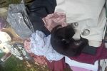 Sale Photo Thumbnail #4