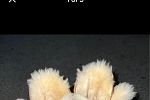 Sale Photo Thumbnail #43