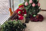 Sale Photo Thumbnail #47