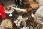 Sale Photo Thumbnail #43