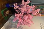Sale Photo Thumbnail #30
