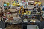 Sale Photo Thumbnail #17