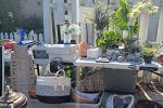 Sale Photo Thumbnail #5