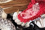 Sale Photo Thumbnail #50