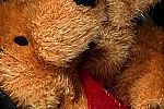 Sale Photo Thumbnail #111