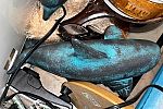 Sale Photo Thumbnail #24