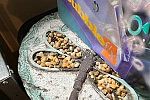 Sale Photo Thumbnail #141