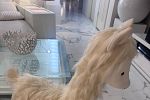 Sale Photo Thumbnail #129