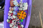 Sale Photo Thumbnail #22
