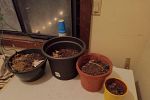Sale Photo Thumbnail #33