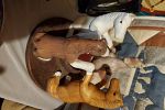 Sale Photo Thumbnail #7