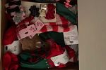 Sale Photo Thumbnail #4