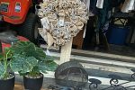 Sale Photo Thumbnail #11