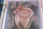 Sale Photo Thumbnail #32