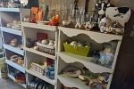 Sale Photo Thumbnail #6