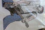 Sale Photo Thumbnail #50