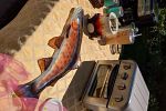 Sale Photo Thumbnail #21