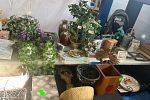 Sale Photo Thumbnail #9