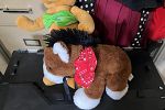 Sale Photo Thumbnail #12
