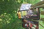Sale Photo Thumbnail #11