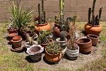 Sale Photo Thumbnail #56