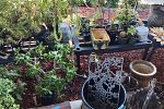 Sale Photo Thumbnail #44