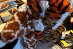 Sale Photo Thumbnail #8