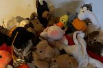 Sale Photo Thumbnail #10