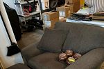 Sale Photo Thumbnail #3