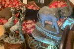 Sale Photo Thumbnail #39