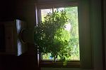 Sale Photo Thumbnail #44
