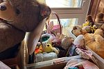 Sale Photo Thumbnail #20