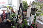 Sale Photo Thumbnail #32