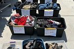 Sale Photo Thumbnail #29
