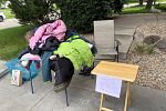 Sale Photo Thumbnail #10