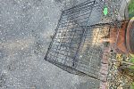 Sale Photo Thumbnail #31