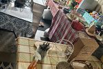 Sale Photo Thumbnail #7