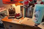 Sale Photo Thumbnail #25