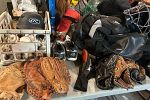 Sale Photo Thumbnail #21
