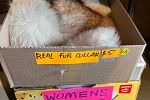 Sale Photo Thumbnail #19