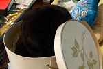 Sale Photo Thumbnail #21