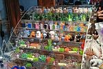 Sale Photo Thumbnail #15